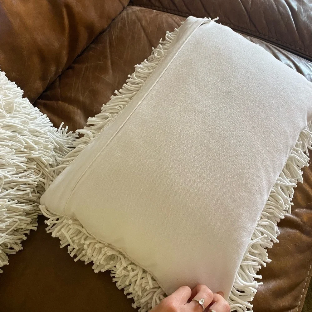 Crate & Barrel Remy Cotton Pillow & Case Cover X2